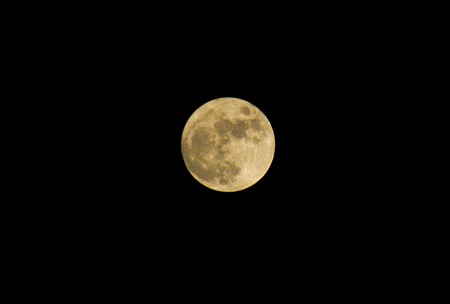 今日の満月　コンデジで初めて撮りました