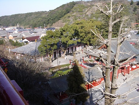 景色