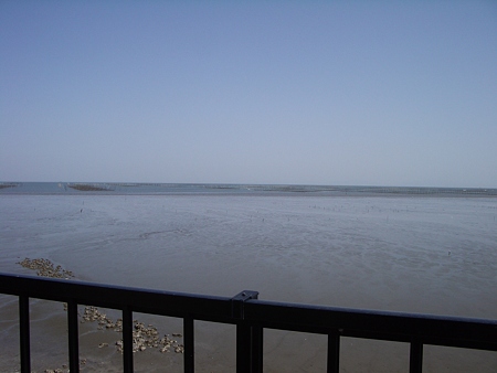 海