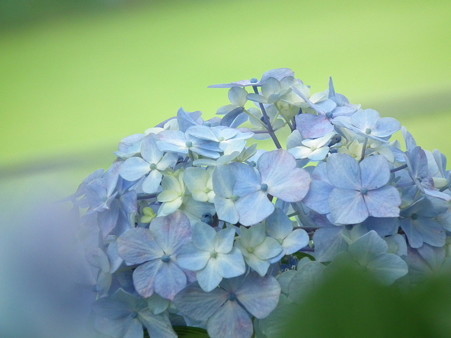 DSCF0147