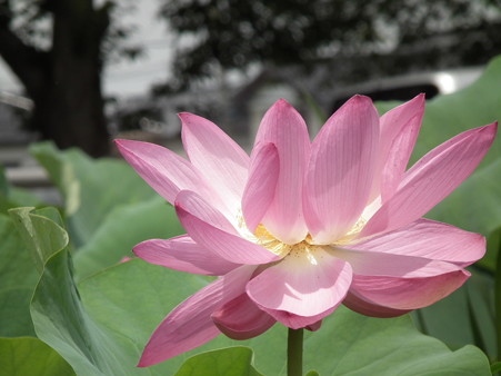DSCF0044