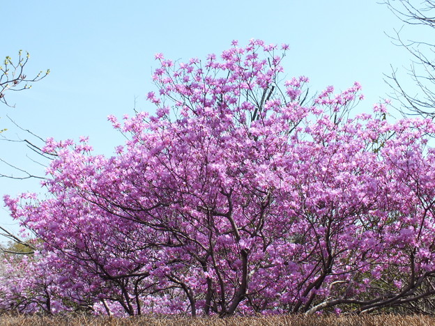 DSCF0091