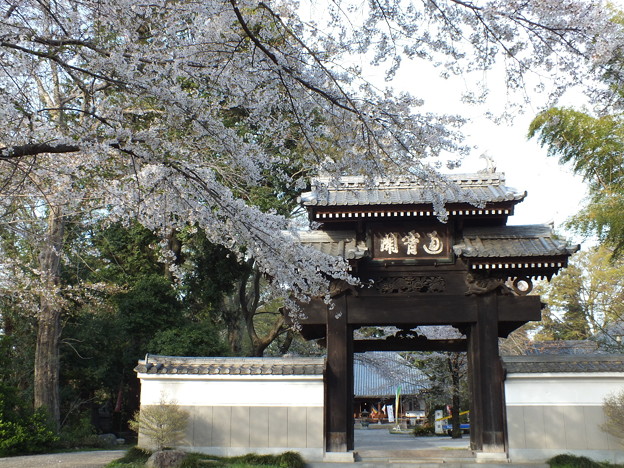 DSCF0337
