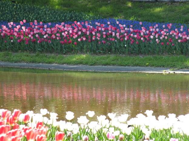 DSCF0311