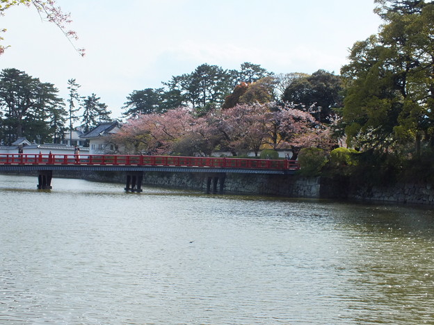 DSCF0435
