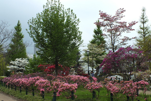 DSCF0325