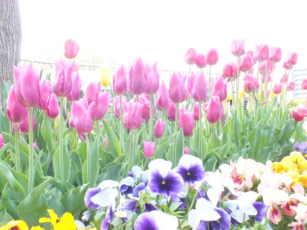 DSCF0067