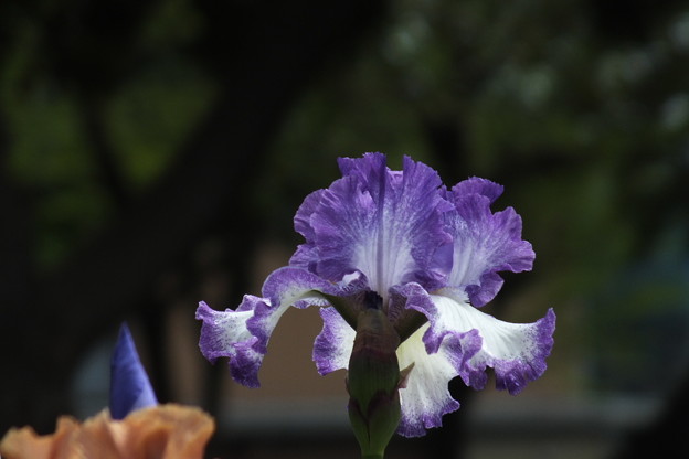 DSCF0116
