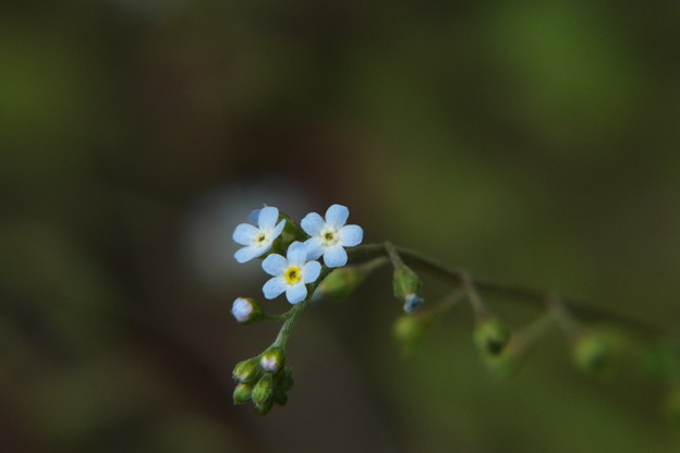 DSCF0221