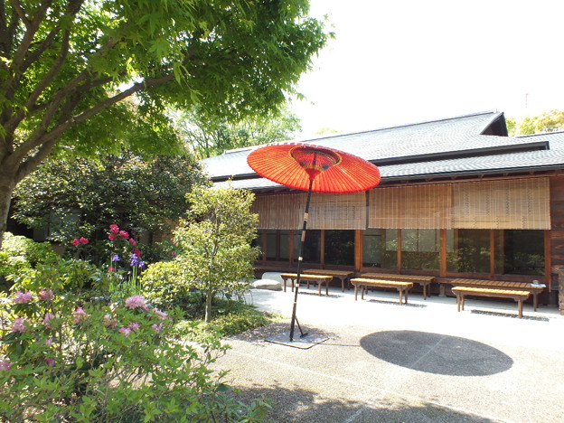 DSCF0220