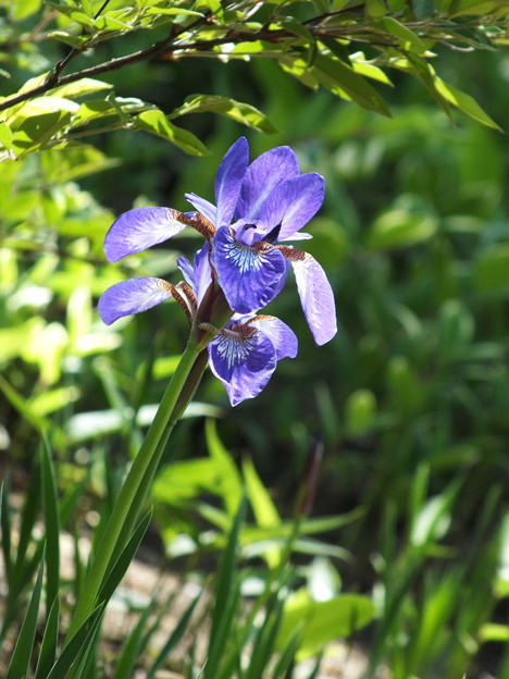 DSCF0117