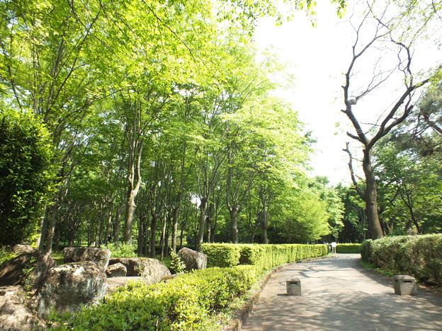 DSCF0426