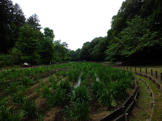 DSCF0041