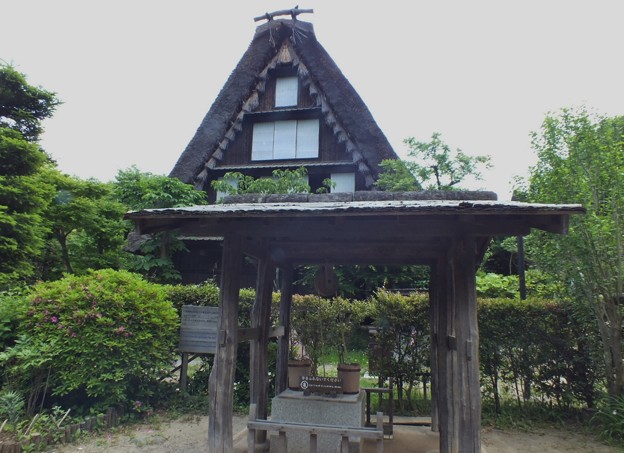 DSCF0437