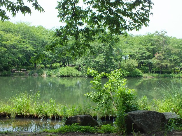 DSCF0167