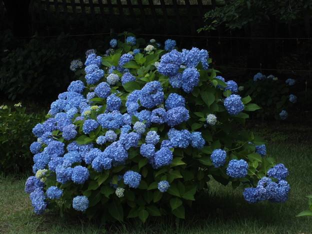 DSCF0549