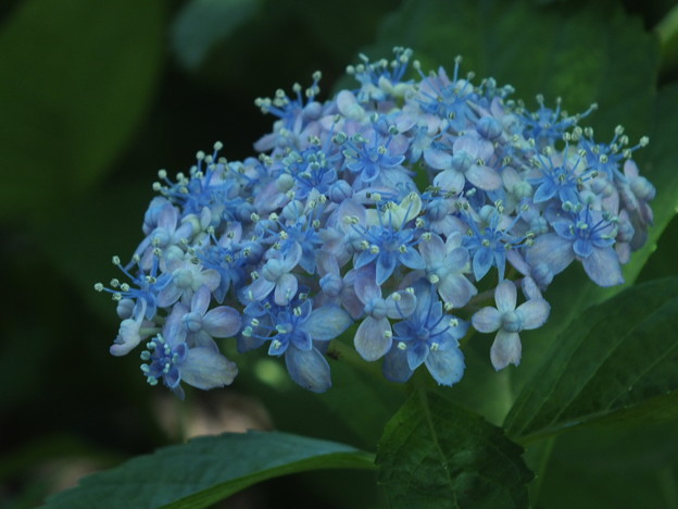 DSCF0189