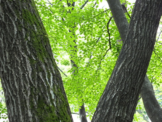 DSCF0397