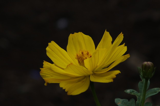 DSCF0171