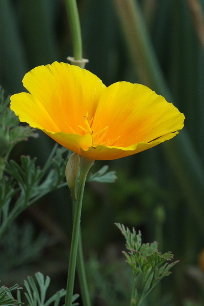 DSCF0344