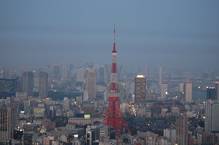 暗くなる前の東京タワー