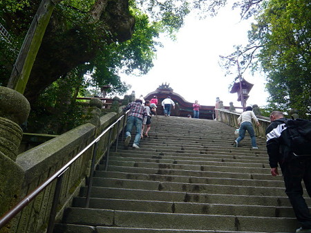 20090506P1010127_1_1