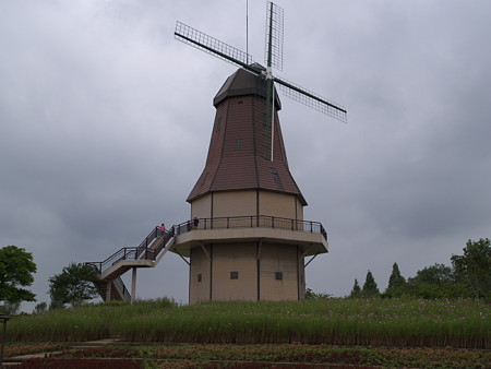 P8239237080823