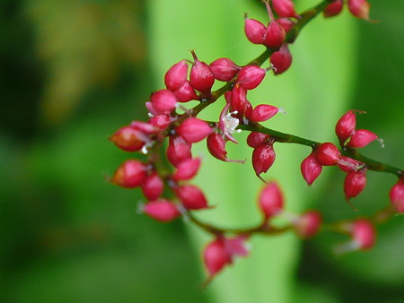 P1070174