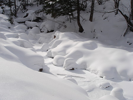 雪の通り道(平湯大滝)