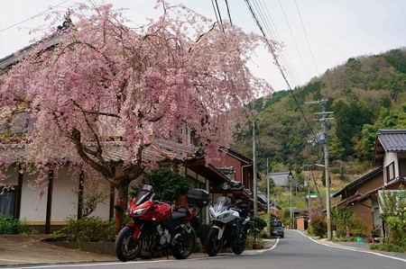 大原神社入り口