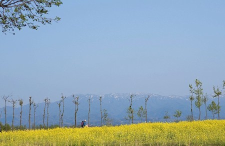 福島潟