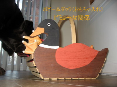新しいオモチャ入れなのだ!