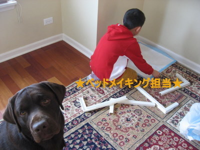 ベッドメイキング中、、