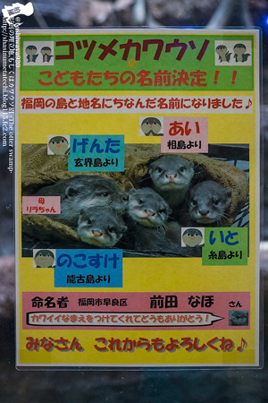 fukuoka140315002