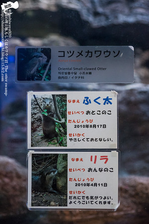 fukuoka140315003