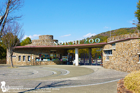 noichi110311001
