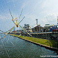 Photos: 飯田港の蜘蛛