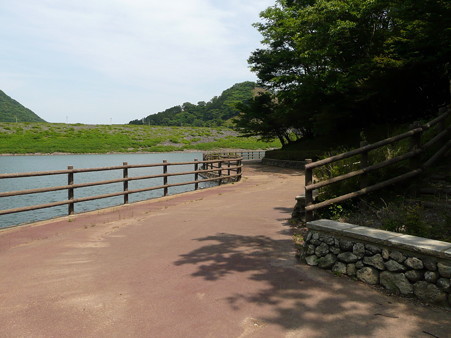 湖面の遊歩道
