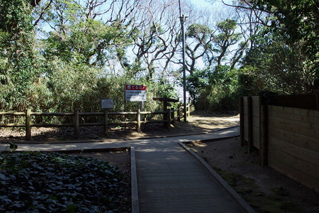 トンネルの先の分岐