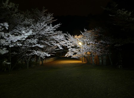 箸蔵寺参道