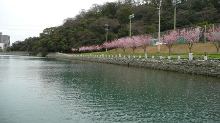 ひょうたん島周遊