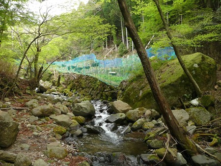 山葵田から続く小川