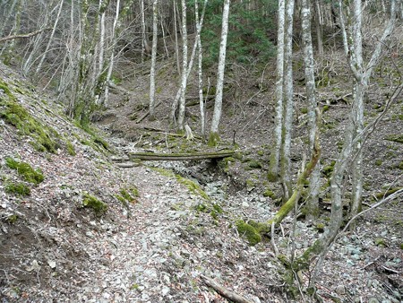 八丁池へ続くハイキングコース