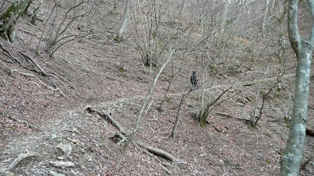 八丁池へ続くハイキングコース