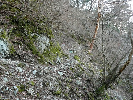 八丁池へ続くハイキングコース