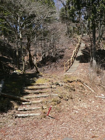 ウグイス歩道の階段