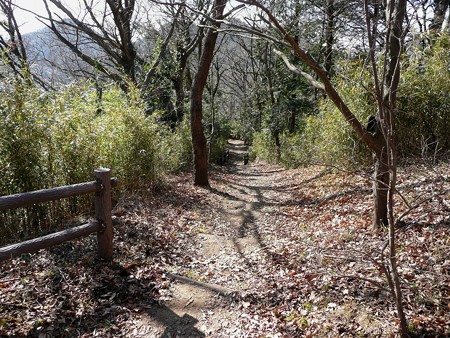 本城山南側へと下る道