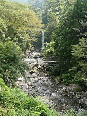 大棚の滝