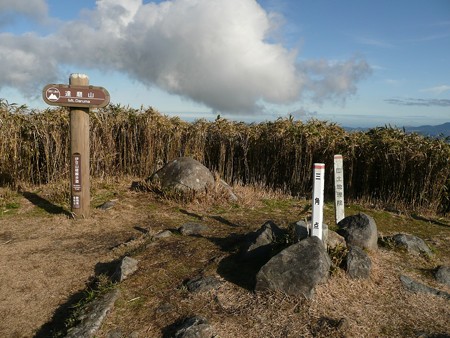 達磨山頂上