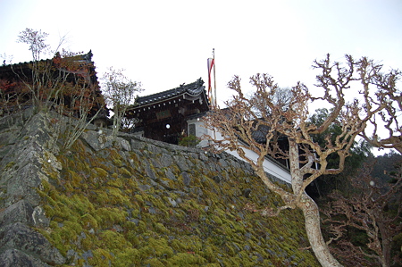 滝山寺 167